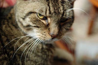What!!...Another picture?