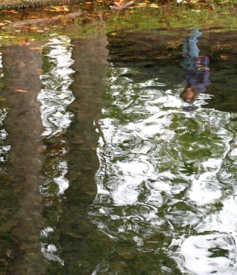 reflection