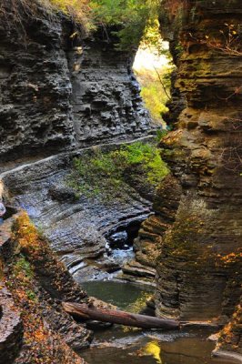 watkins_glen_state_park__oct_17_2010