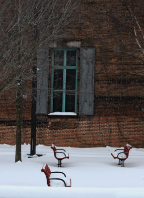 DSC_0088.jpg