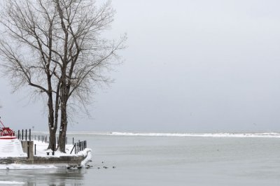DSC_0116.JPG