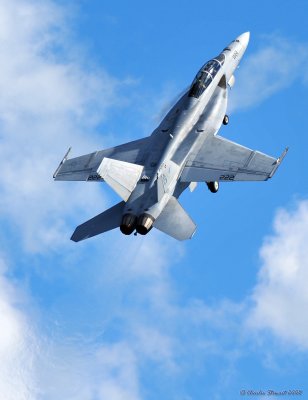 F-18F Super Hornet