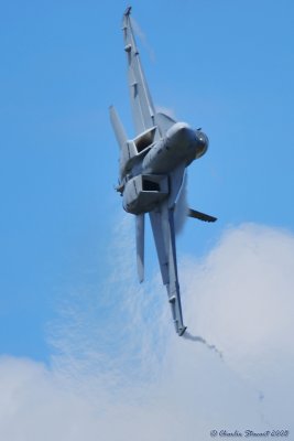 F-18F Super Hornet