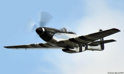 P-51D Mustang Quick Silver