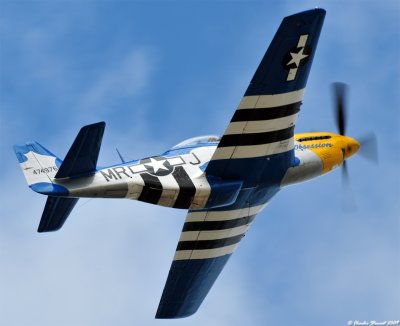 P-51D Mustang Obsession