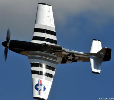 P-51D Mustang Quick Silver