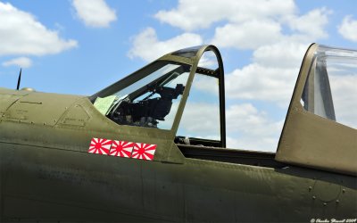 Curtiss P-40 Warhawk Suzy