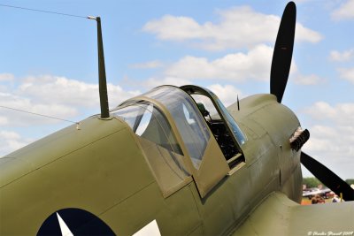 Curtiss P-40 Warhawk Suzy