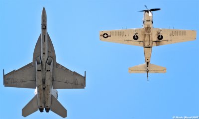 Heritage Flight - F-18F and EA-1E