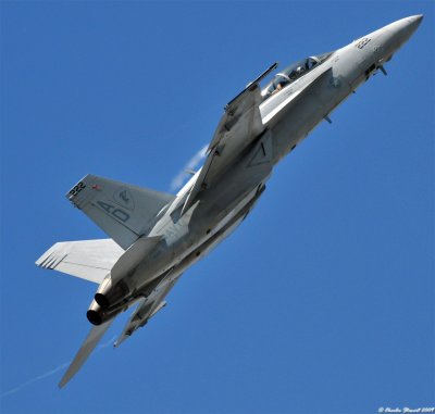 F-18F Super Hornet