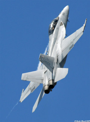 F-18F Super Hornet