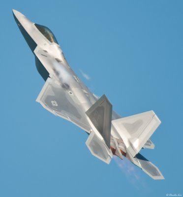 F-22 Raptor
