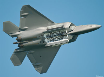 F-22 Raptor