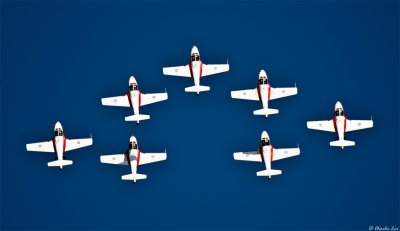 Snowbirds