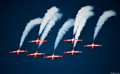 Snowbirds - 40th anniversay