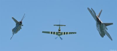 CS2_8466.jpg