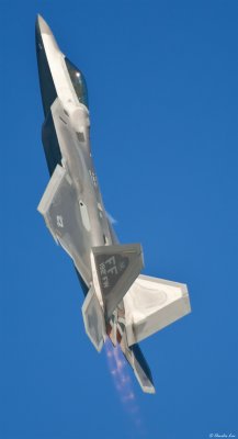 CS2_8229.jpg
