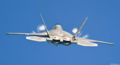 CS2_8321.jpg