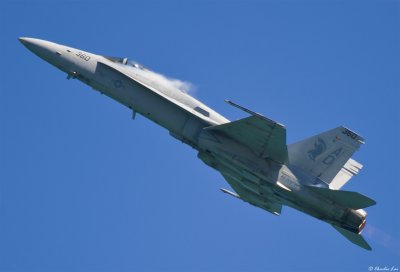 CS2_7638.jpg