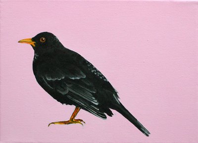 Black Bird - Merel