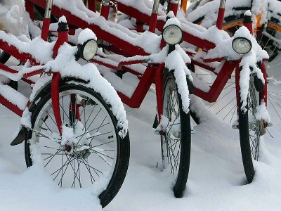 Fietsen in de sneeuw / Bicycles in the snow