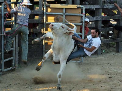 Rodeo 6