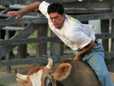 Rodeo 4