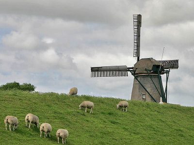Windmill - Oudeschild - Texel - The Netherlands