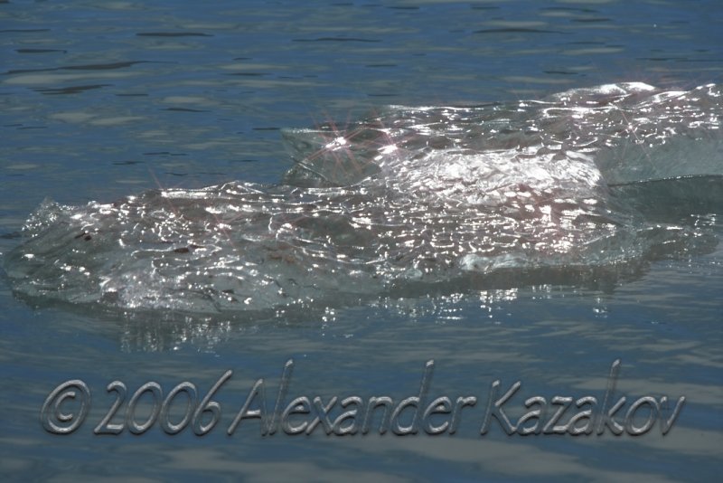Svalbad_2498.jpg