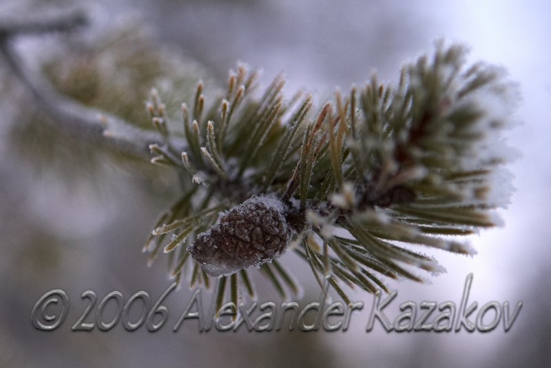 Finlandia_2822.jpg