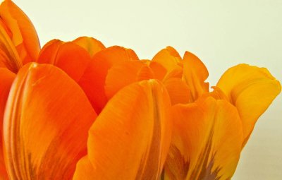 Composition 2.jpg