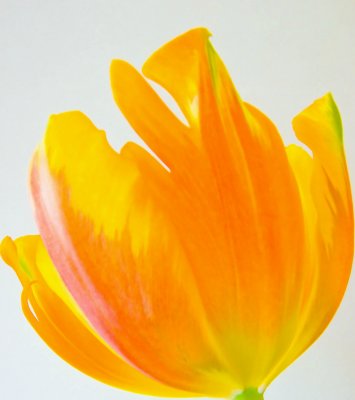 Untitled 4.jpg