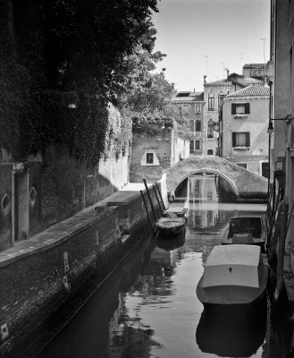 Garden, Venice, 2007.jpg