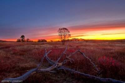 Meadow Sunrise