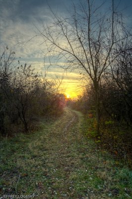 Down the Frosty Path