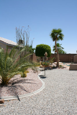 Back East side o f yard