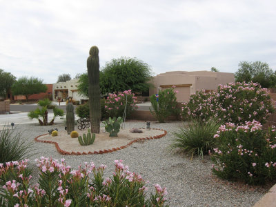 Front Yard