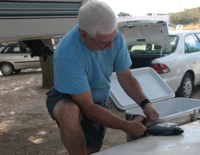 Barry cutting off fins