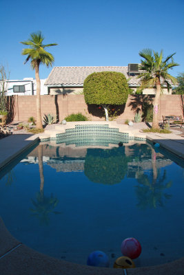 Pool withPalm tree reflection