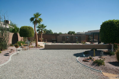 back yard