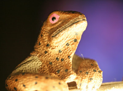 Geck'o