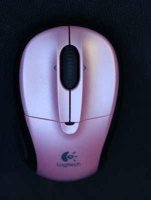mouse