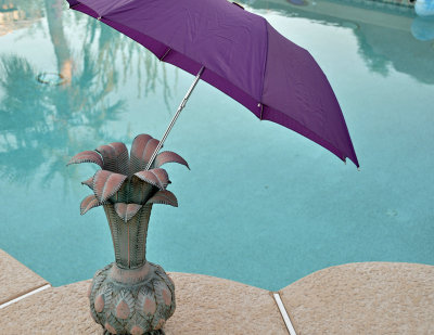 umbrella