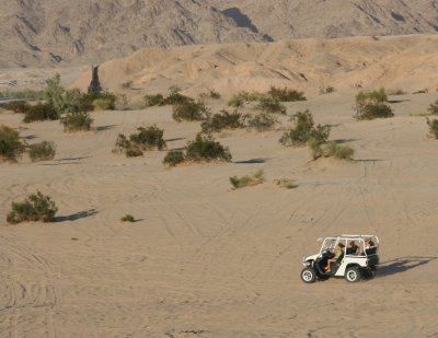 Dune-buggy