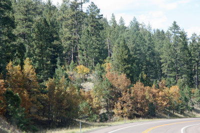 October color
