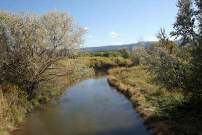 more marsh