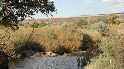 Marsh