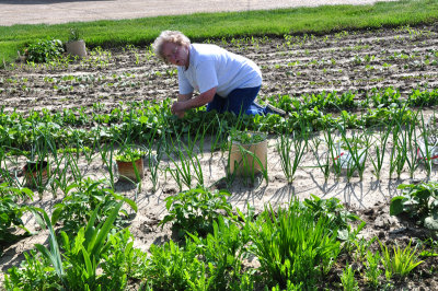 Jean-in-garden