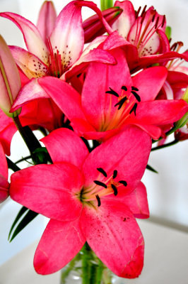 Bouquet
