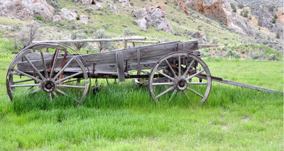 Wagon-in-field.